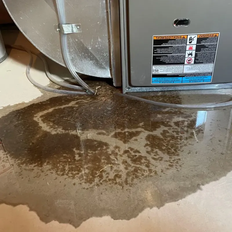 Pipe Burst and Leak Restoration in Grangeville, ID